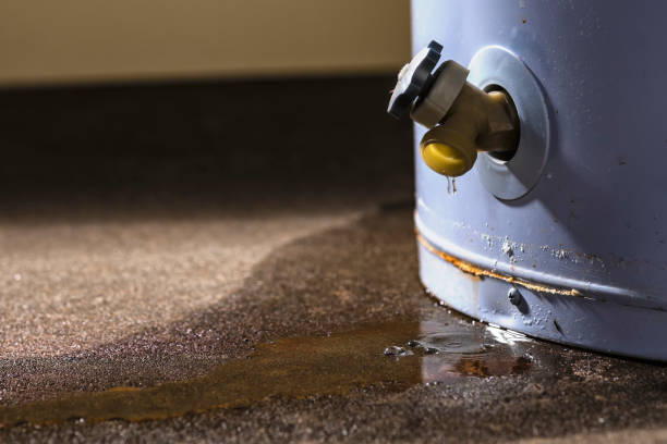 Carpet water damage restoration in Seward, NE