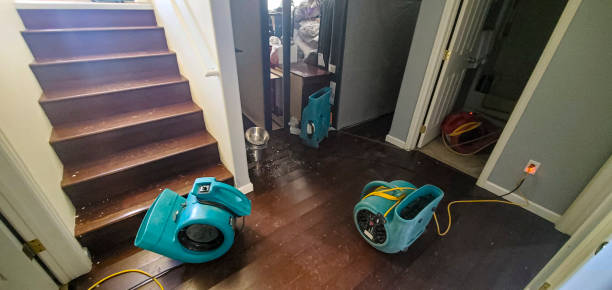 Best Professional water damage repair  in Seward, NE