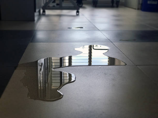 Best Carpet water damage restoration  in Seward, NE