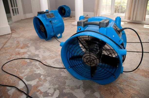  Seward, NE Water damage restoration Pros