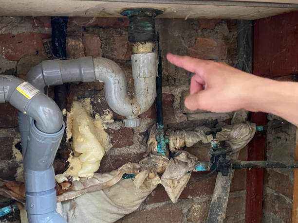 Best 24-hour water damage restoration  in Seward, NE